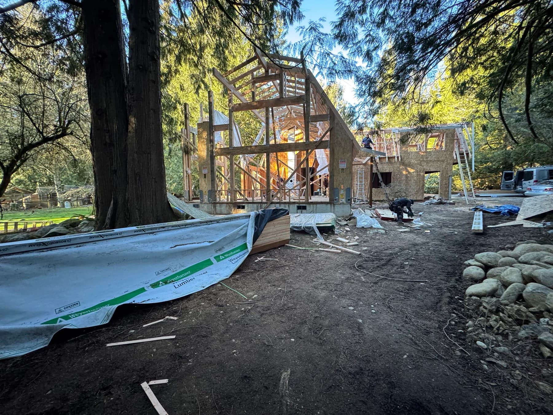 Project framing — Exposed timber framing and wall sheathing on a wooded residential construction site