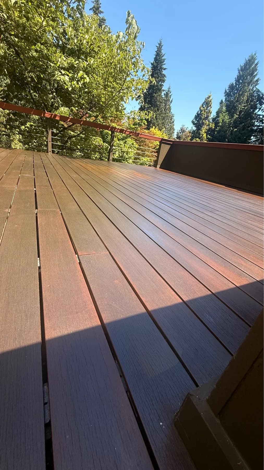 Deck Staining — Stained wood deck boards in sunlight beside a cable railing and trees