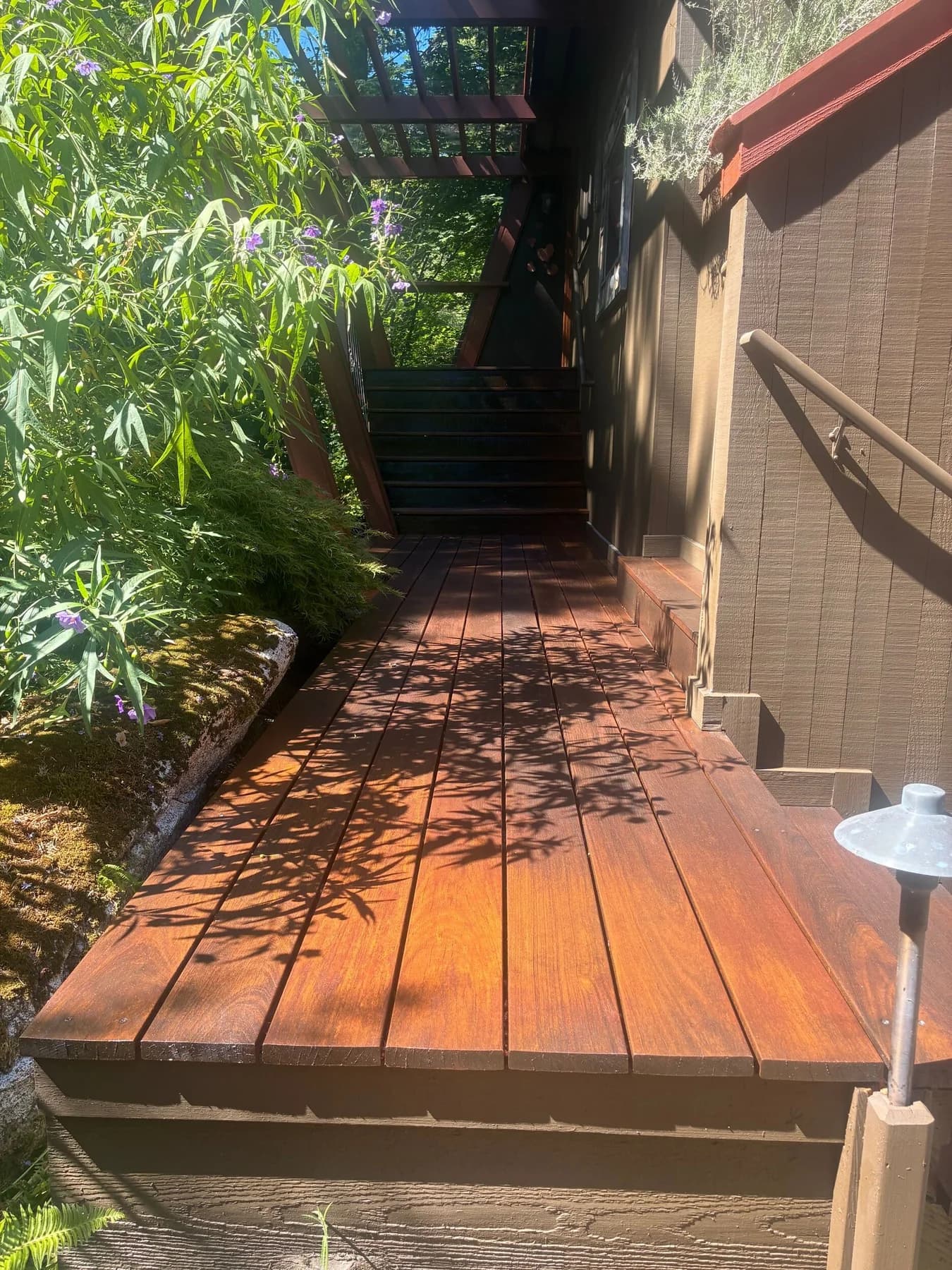 Stained Deck & Steps — Stained wood walkway and steps beside a home and garden